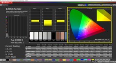 CalMAN ColorChecker (profil: P3, målfärgrymd: P3)