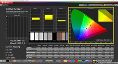 CalMAN ColorChecker (profil: P3, målfärgrymd: P3)