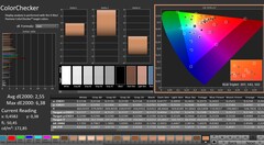 CalMAN: ColorChecker (kalibrerad)