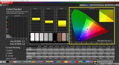 CalMAN ColorChecker (profil: sRGB, färgrymd: sRGB)