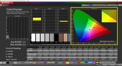 CalMAN ColorChecker (profil: sRGB, färgmålrymd: sRGB)