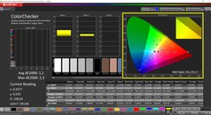 CalMAN ColorChecker (profil: P3, färgmålrymd: P3)