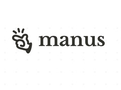 Manus AI:s generella AI-agent hanterar komplexa uppgifter som en mänsklig assistent. (Bildkälla: Manus AI)