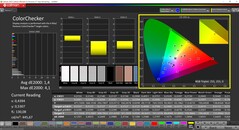 CalMAN ColorChecker (profil: P3, färgrymd: P3)