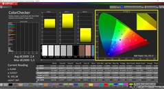 CalMAN ColorChecker (profil: Native: målfärgrymd: P3)