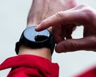 Garmin betaversion 22.22 rullas nu ut till smartklockor, inklusive Forerunner 955. (Bildkälla: Garmin)