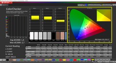 CalMAN ColorChecker (profil: sRGB, målfärgrymd: sRGB)