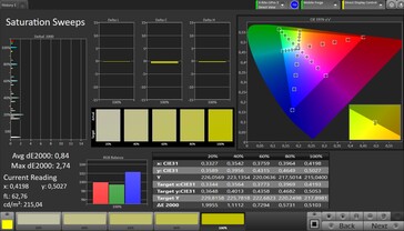 CalMAN-mättnad yttre display