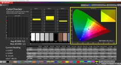 CalMAN ColorChecker (profil: sRGB, målfärgrymd: sRGB)